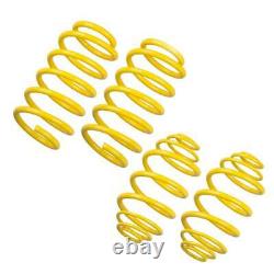 Kit Lowering Springs For St 28220284 Mini